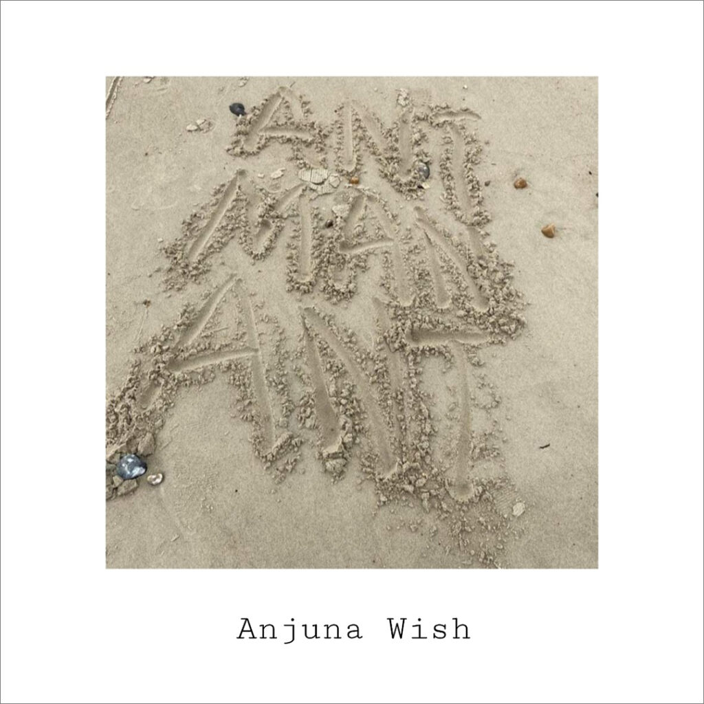Anjuna Wish | AntMan Ant