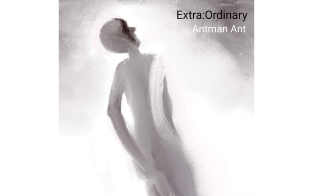 Extra Ordinary | Antman Ant