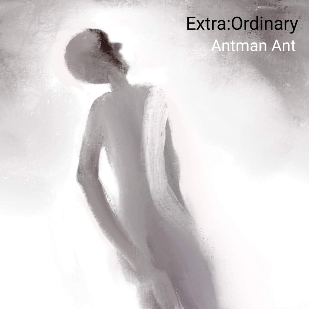 Extra Ordinary | Antman Ant